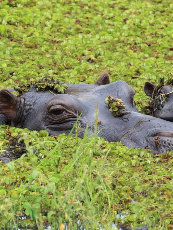 L'imagier animé de Koumi S1 E14