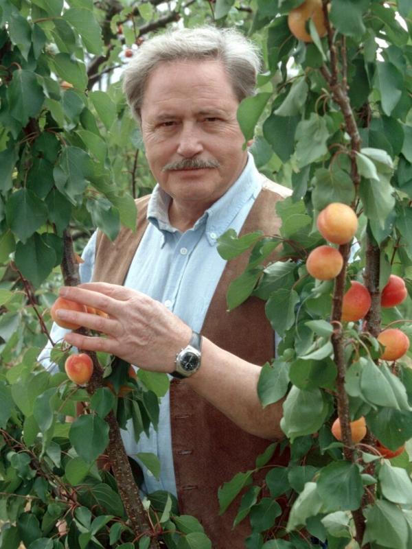 Louis la Brocante S10 E1