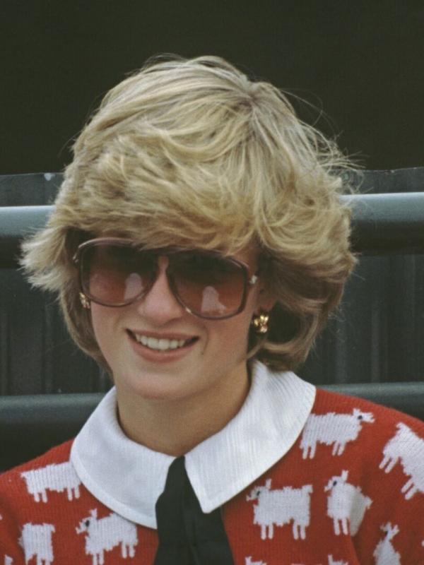 Diana : l'envers de la couronne