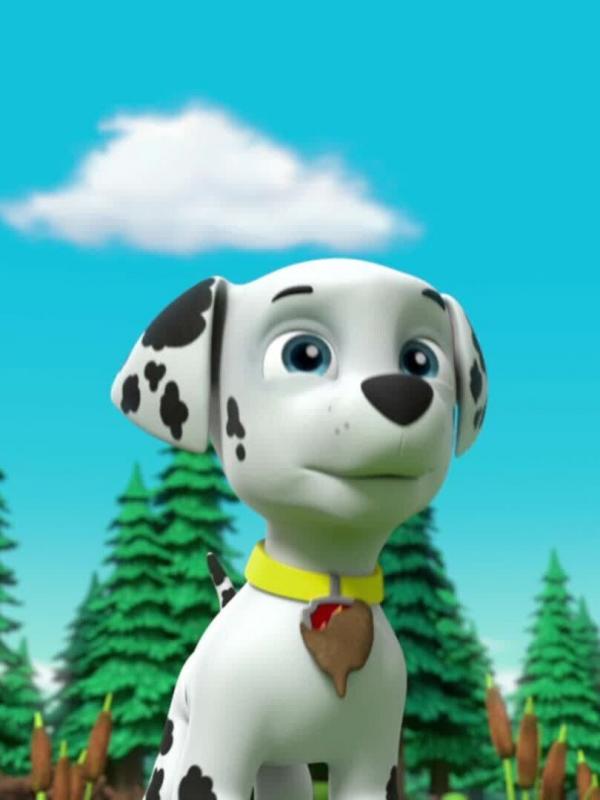 Paw Patrol S4 E11