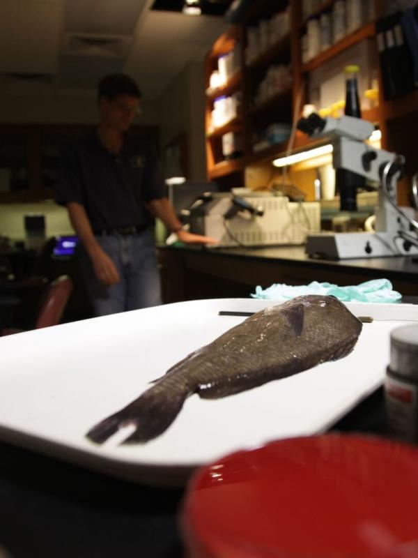 Voyage dans le surnaturel