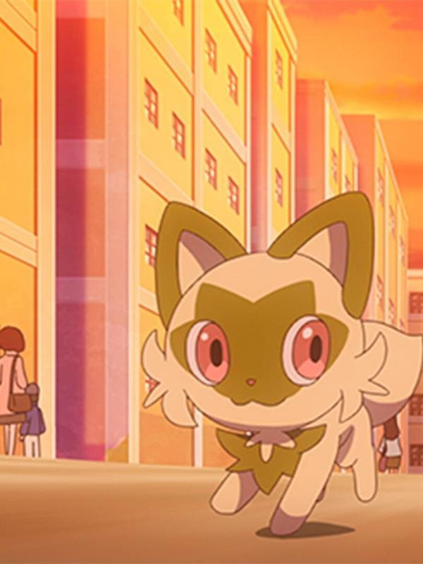 Pokémon : Les horizons S1 E15