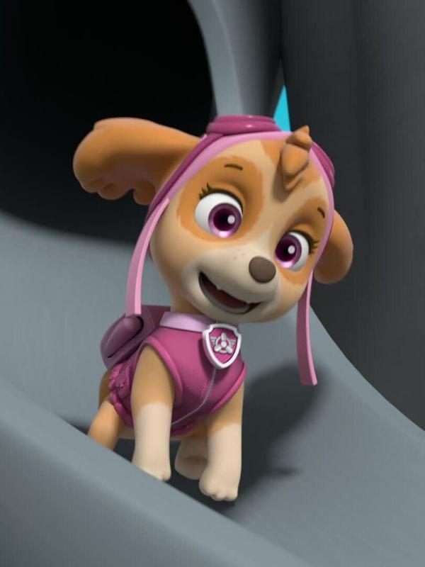 Paw Patrol S10 E2