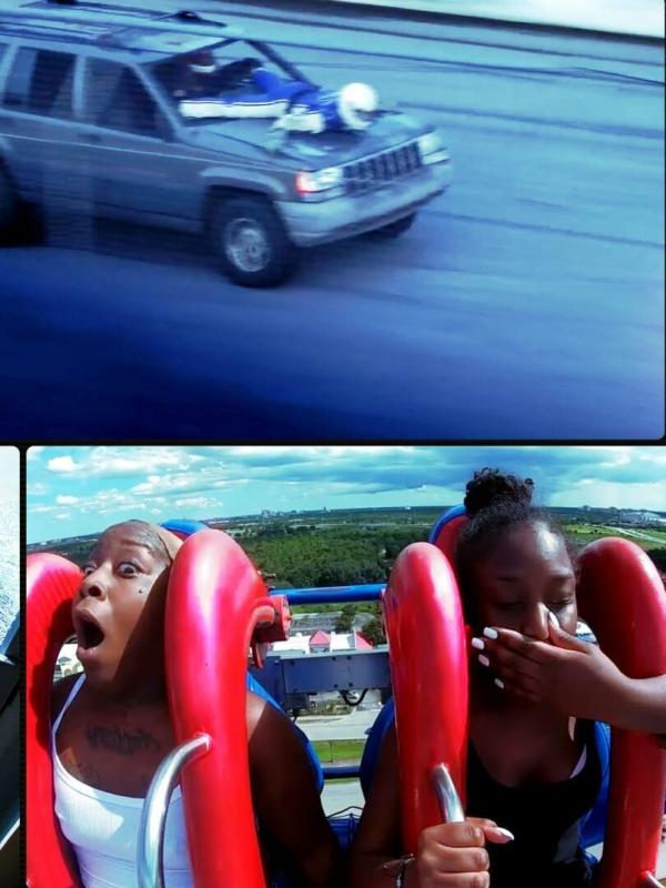 Sur le vif : vidéos insolites