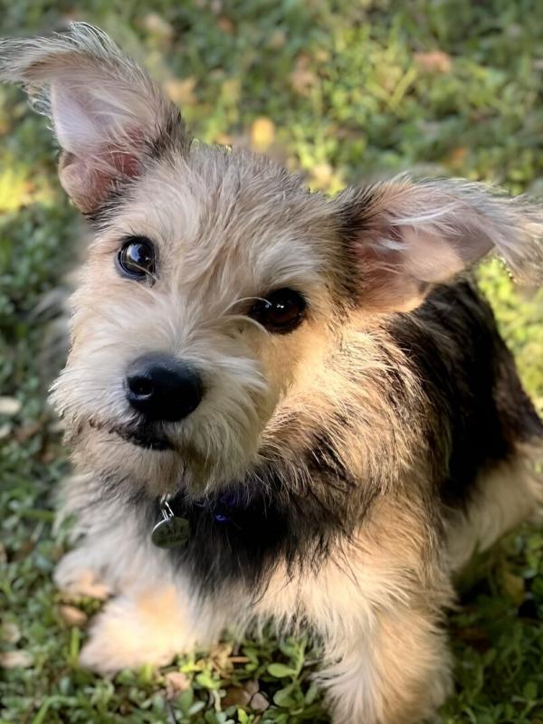 Une famille pour la vie