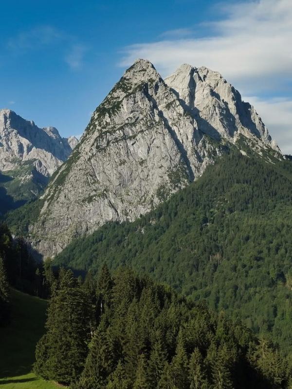 Wilder Frühling - Tierische Liebe zwischen Oberrhein und Zugspitze