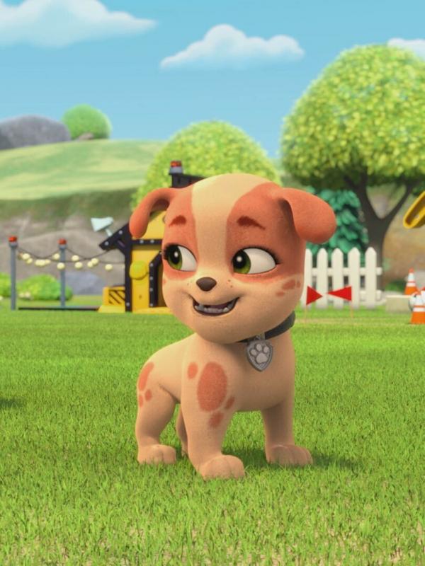 Rubble & Crew S1 E25