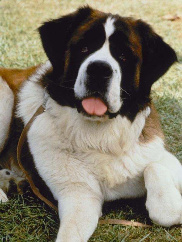 Beethoven