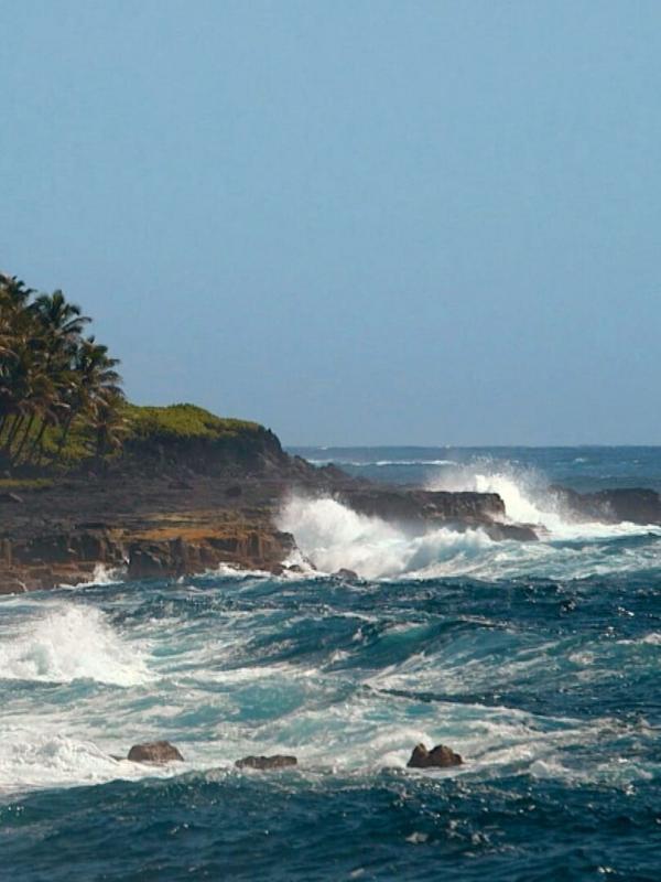 Des volcans et des hommes