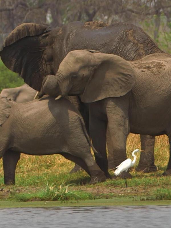 Invitation au voyage