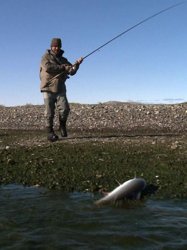 Pêche mythique en Alaska sur la rivière Wulik