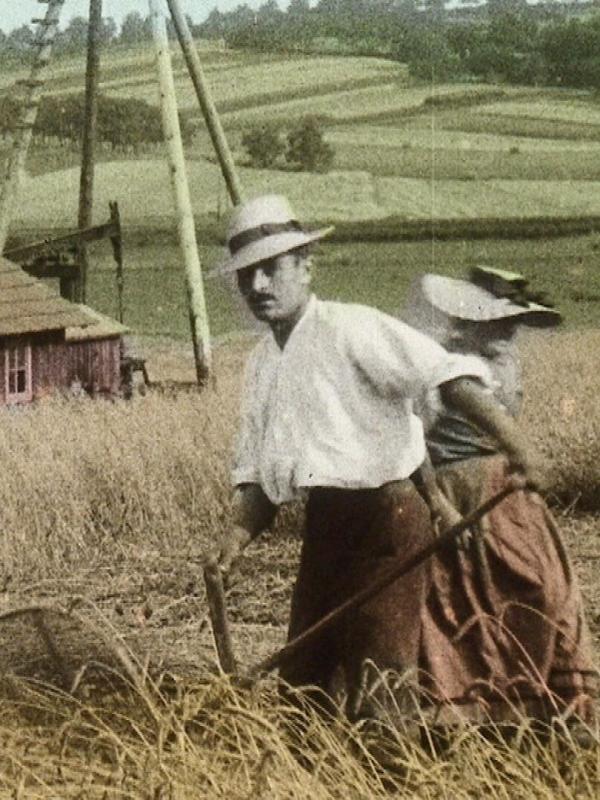 Alsace, dans la tourmente de l'histoire