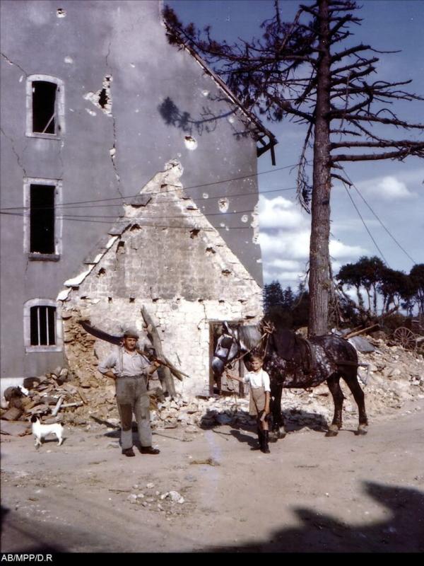 Sacrifice Cassino ! La vérité cachée