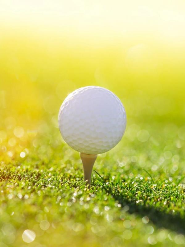 Golf : Open d'Anvers