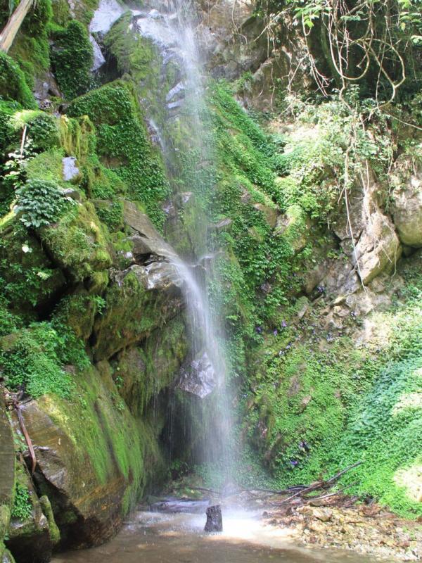 Destination Wild : Les merveilles de la Chine