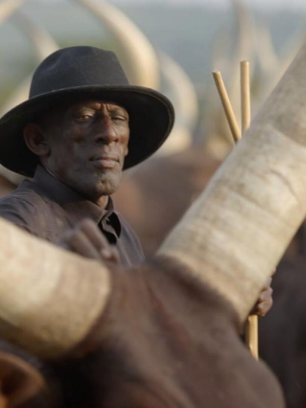 Afrika von oben: Uganda