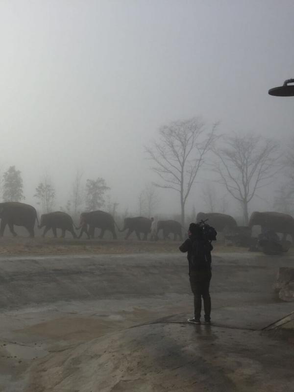 Expeditie Pairi Daiza!