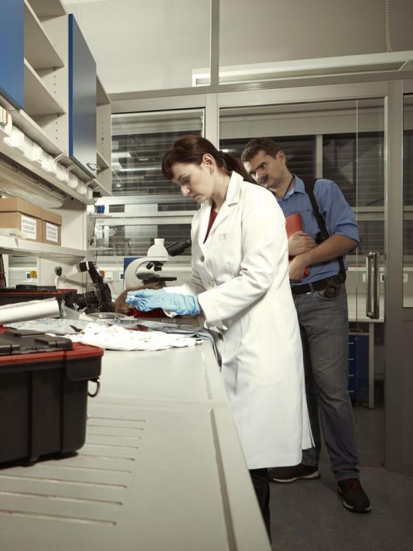 Faites entrer l'accusé