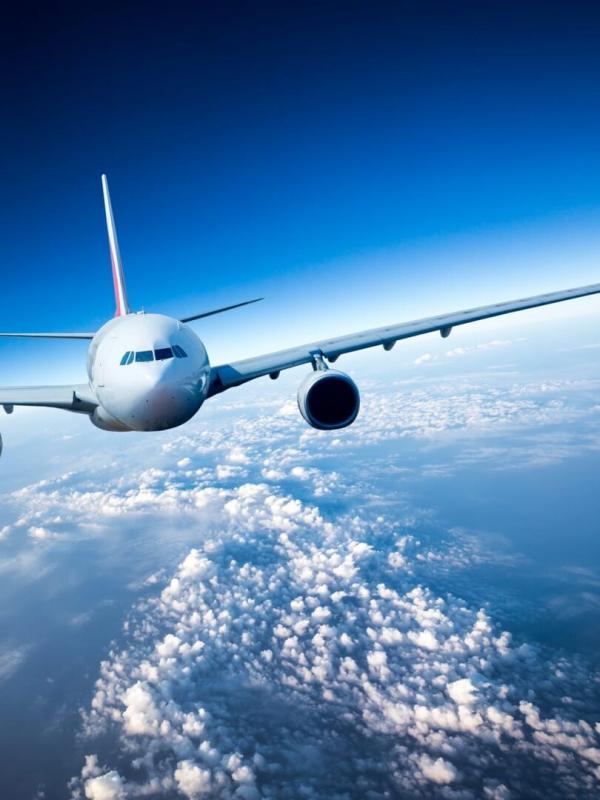 Les combattants du ciel