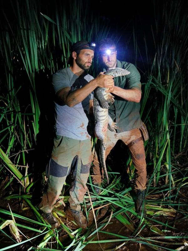 Morsures et piqûres : le grand test