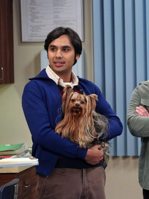 The Big Bang Theory S7 E15