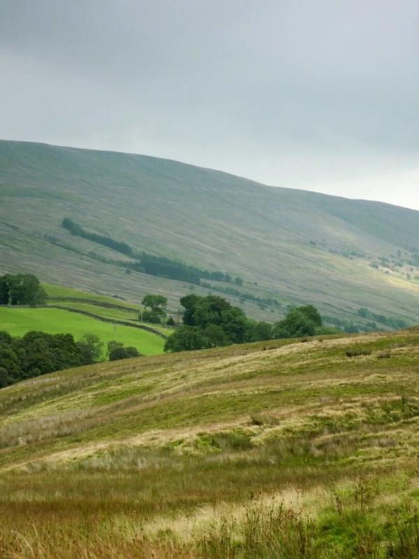 Escape to the Country