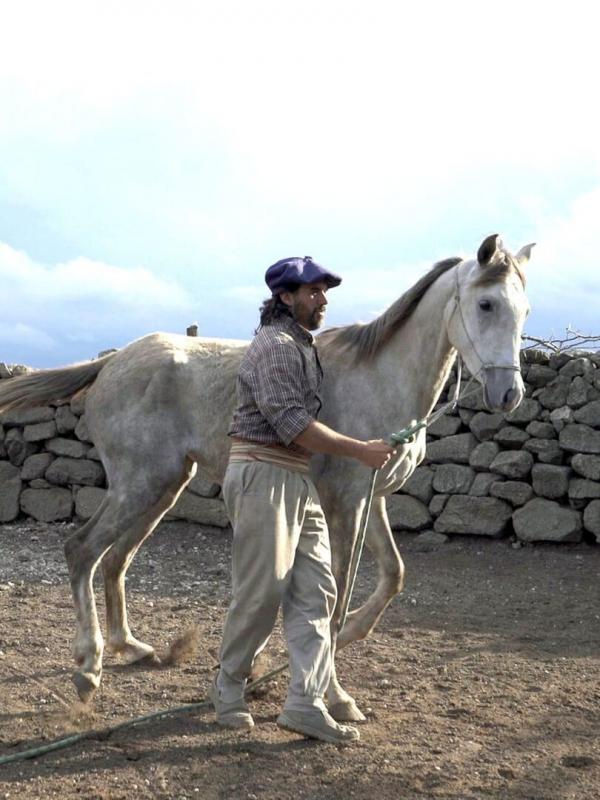 Oscar ou l'art d'apprivoiser les chevaux