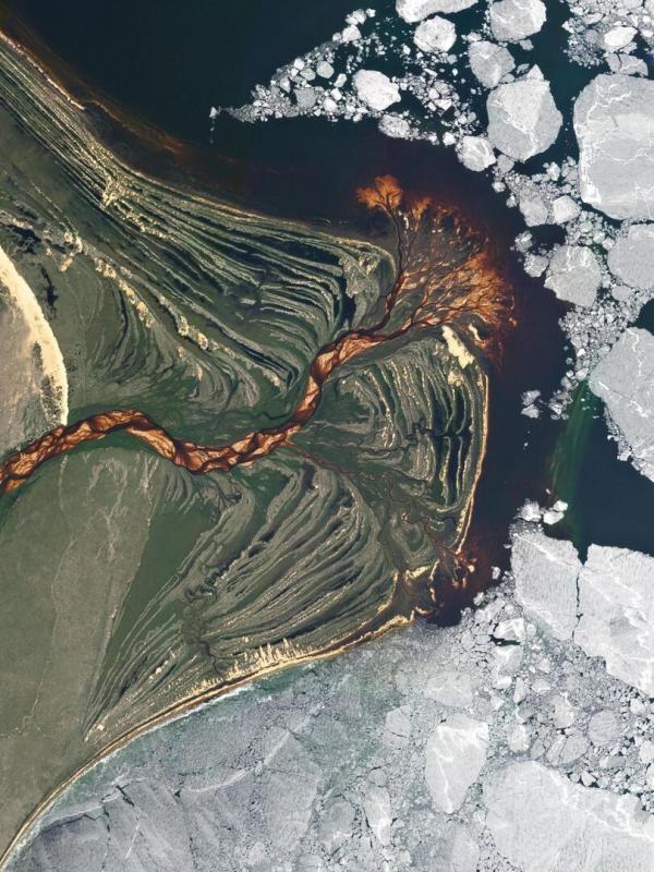 Planète terre : une année vue du ciel