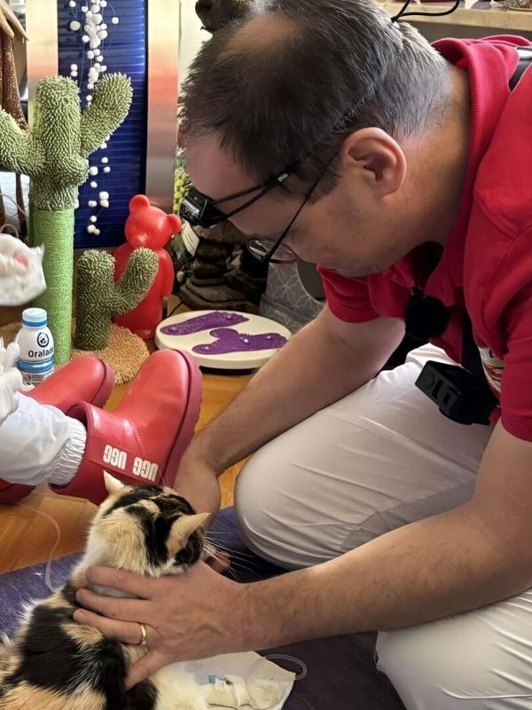 Alltagskämpfer - So tickt Deutschland!