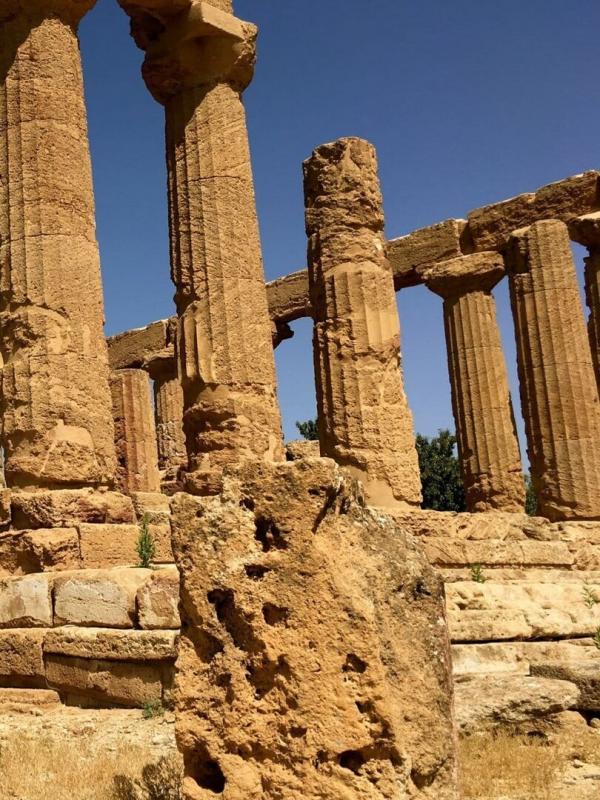 Wo die Zitronen blüh'n - Eine süßsaure Reise von den Alpen bis Sizilien