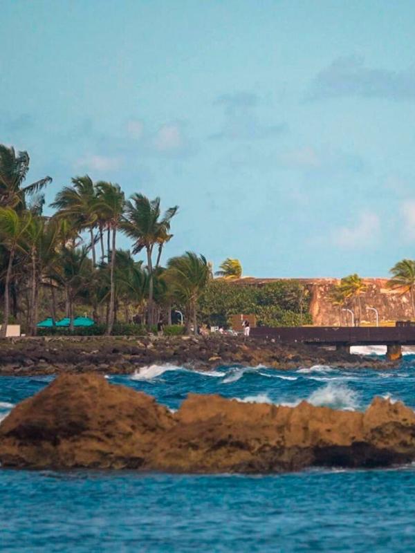 Invitation au voyage