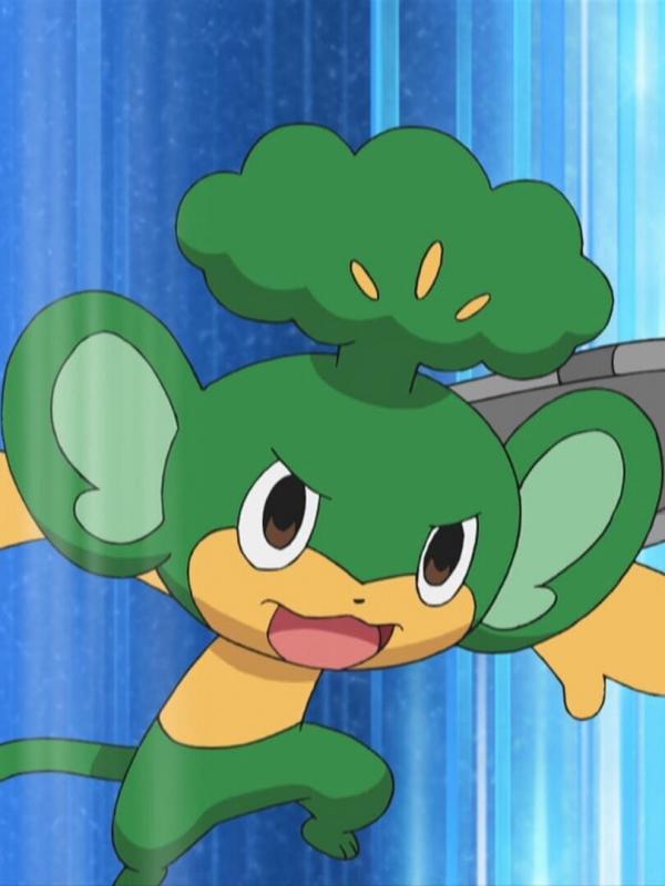 Pokémon : Noir et Blanc S16 E17