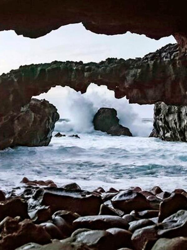 The Canary Islands