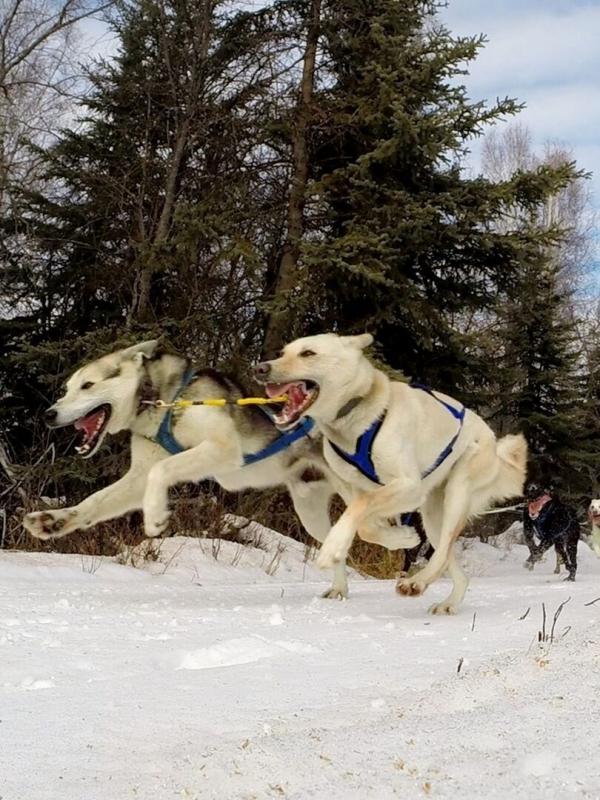 Into the Wild: Alaska