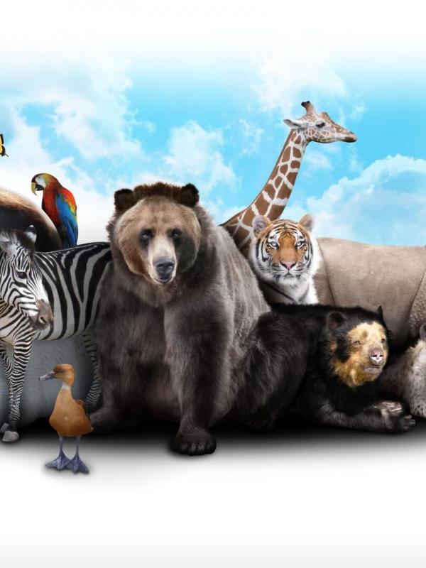 A Ternura da Savana