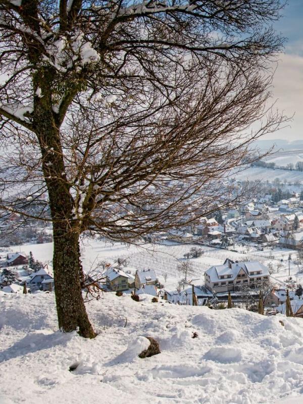 Au coeur des arrestations