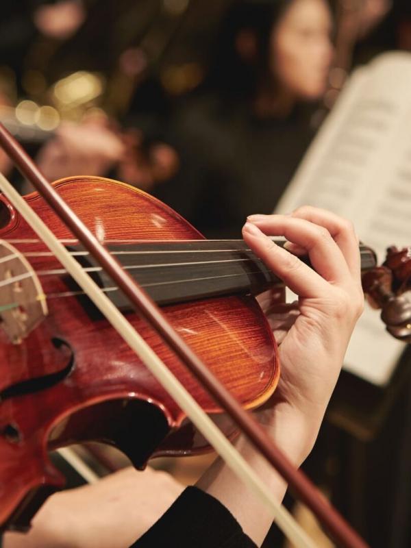 Violin Concerto in D major "Grosso Mogul" | Allegro