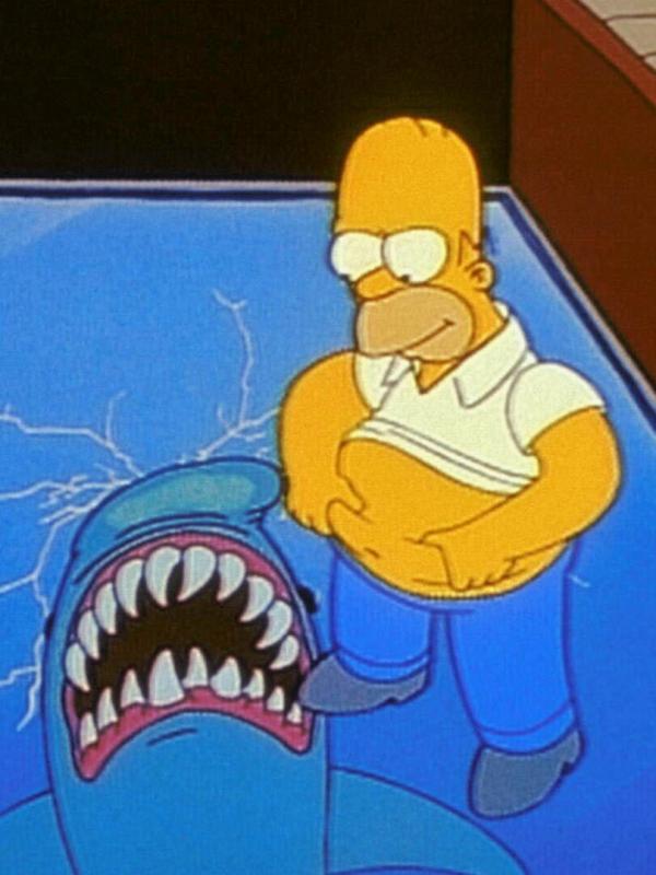 Les Simpson S9 E12