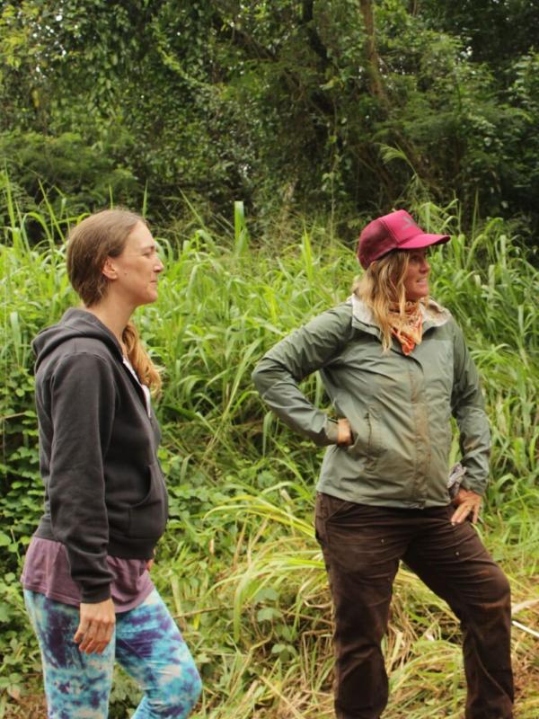 Habitations en péril