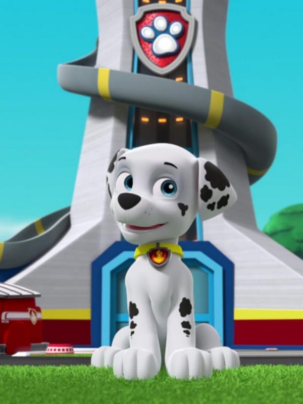 Pat' Patrouille S2 E11