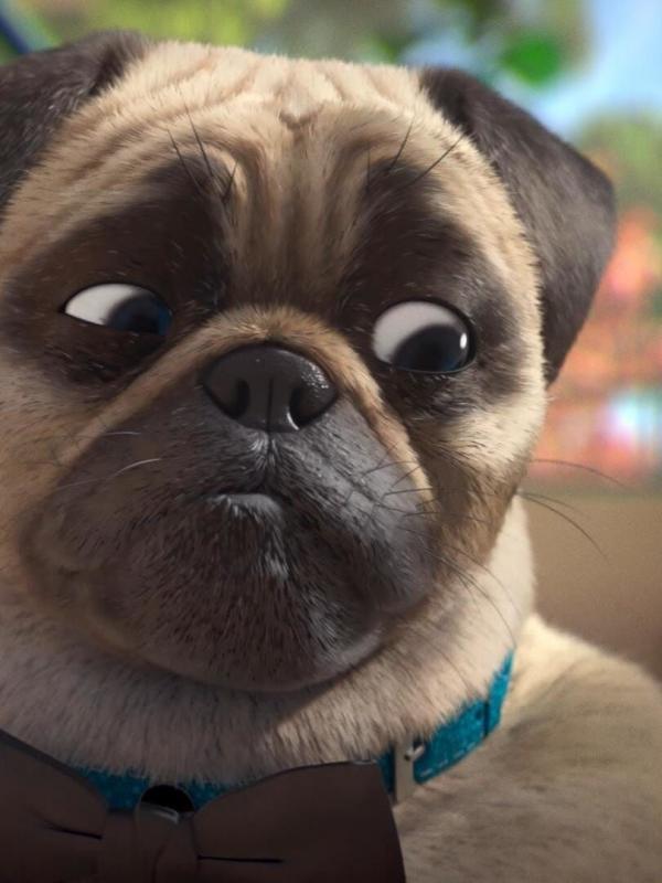 Mike, une vie de chien S1 E12