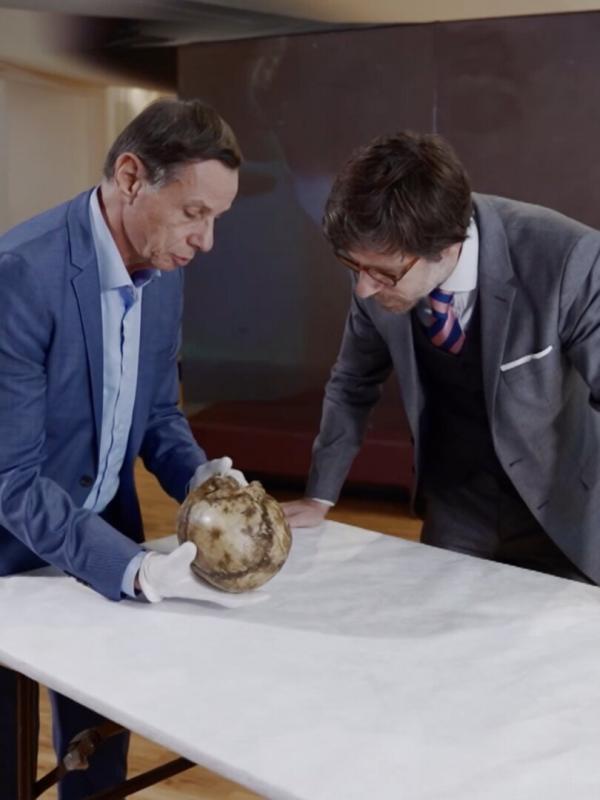 L'histoire au scalpel