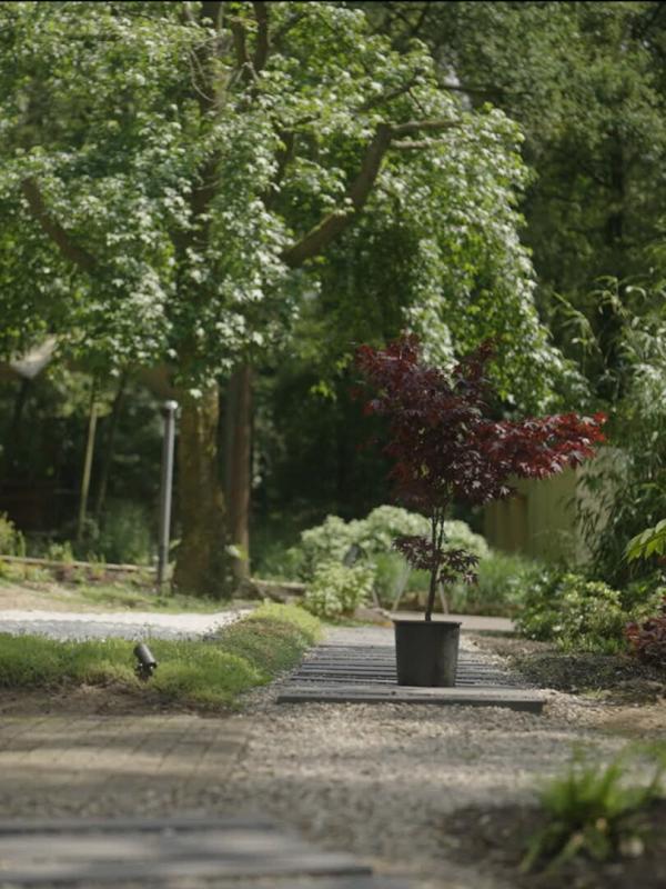 DBB: In de stroom van de 10.000 dingen (1/2)