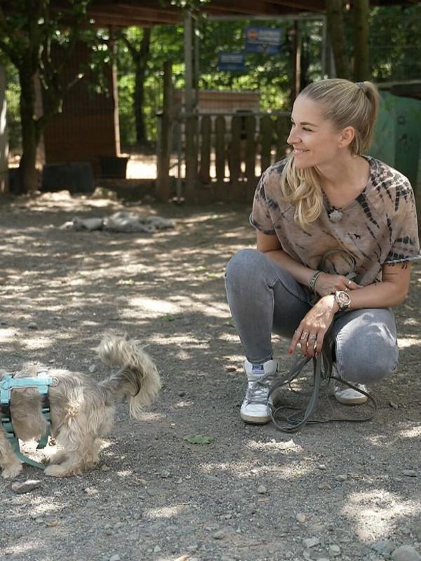 Dein perfekter Hund