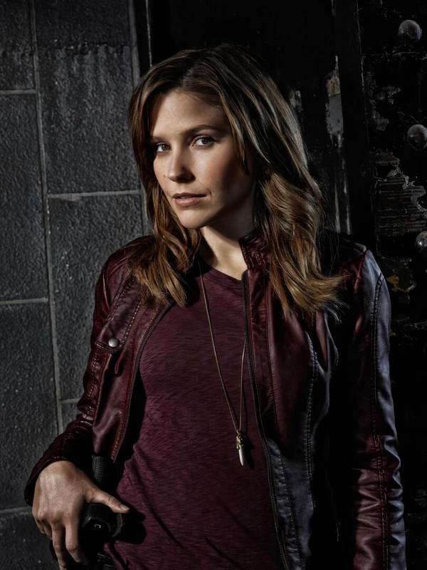 Chicago Police Department S11 E13