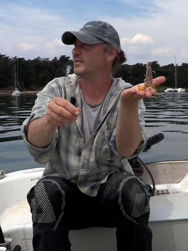 Pêche royale dans le Golfe du Morbihan