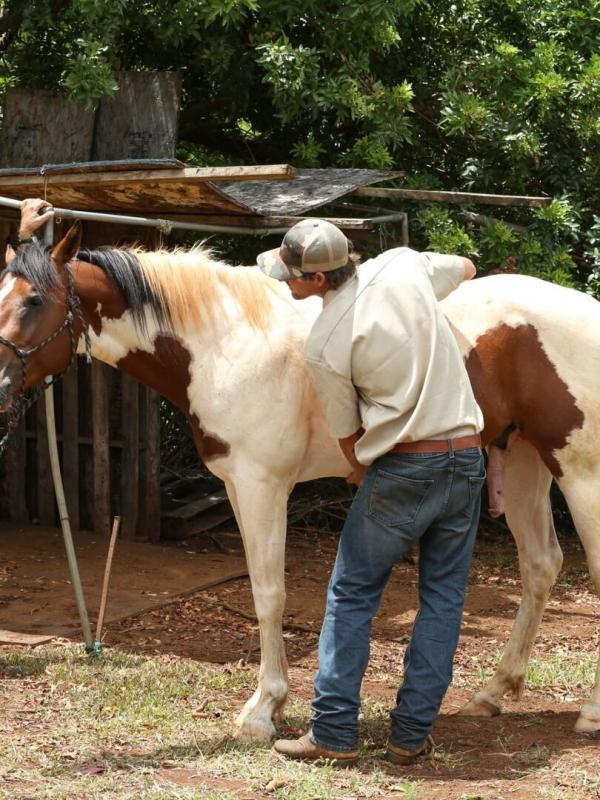Les aventures du Dr Buckeye Bottoms