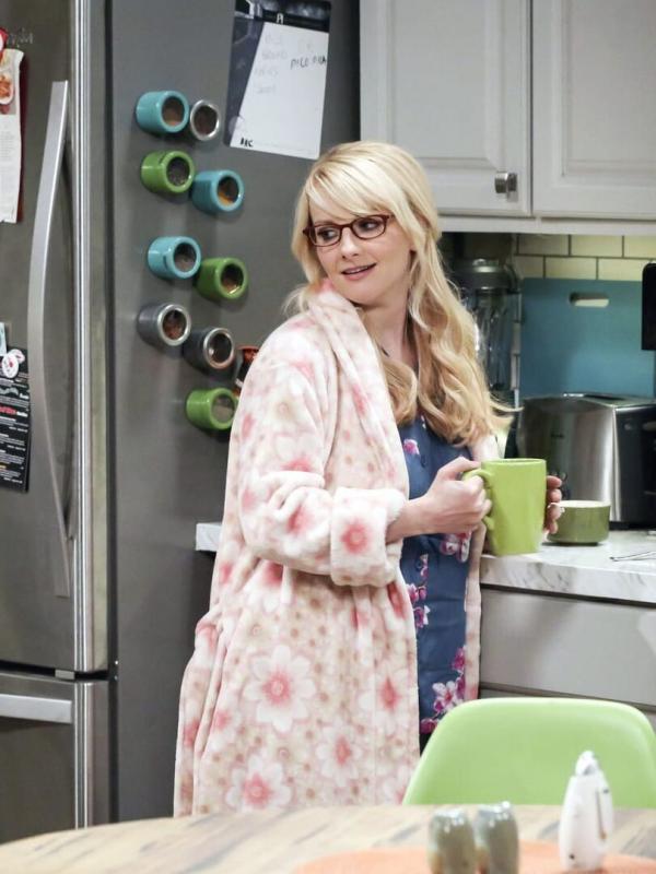 The Big Bang Theory S11 E17
