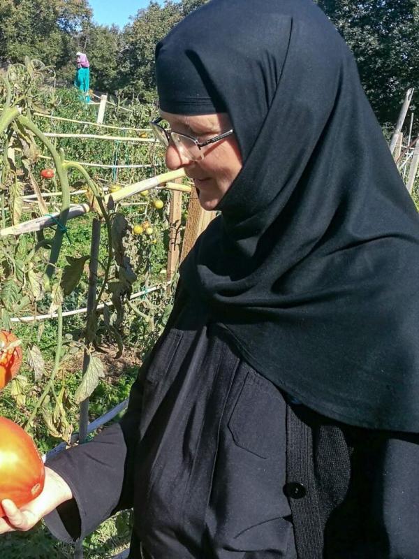 Grèce, les petites soeurs de la terre