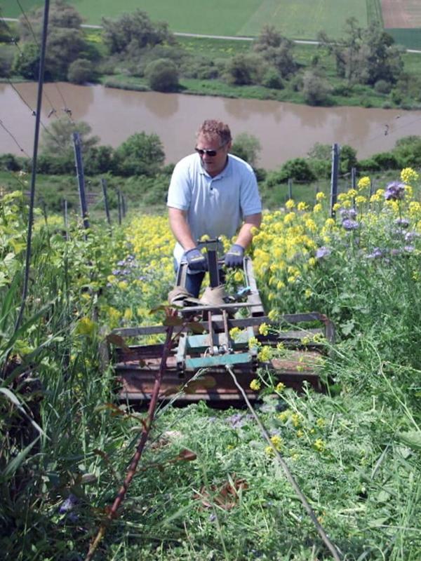 Des vignes et des hommes